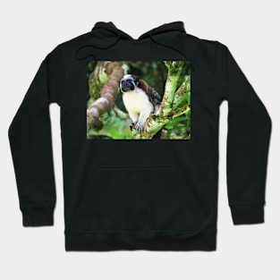 White Chested Monkey Perching in Tree Hoodie